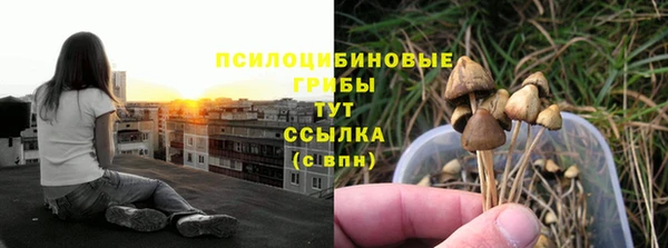 соль курить ск Абаза