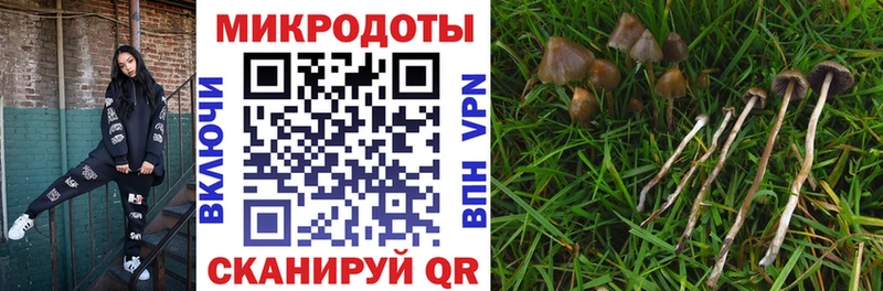 Псилоцибиновые грибы ЛСД  Прокопьевск 