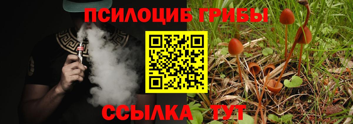 Прокопьевск  цена   Вход с VPN  Псилоцибиновые грибы мицелий  Галлюциногенные грибы GOLDEN TEACHER 